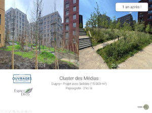 Cluster des Médias